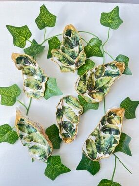 Banana Leaves Oyster Shell Collection